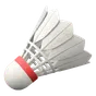 BN